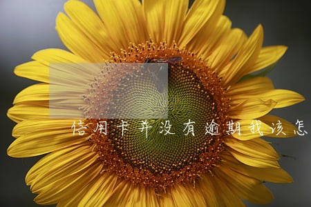 信用卡并没有逾期我该怎么弄 信用卡并没有逾期我该怎么弄