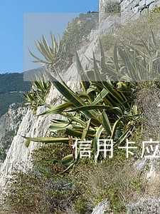 信用卡应为有逾期被银行停了 信用卡应为有逾期被银行停了