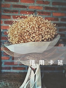 信用卡延时还款时间算逾期吗 信用卡延时还款时间算逾期吗