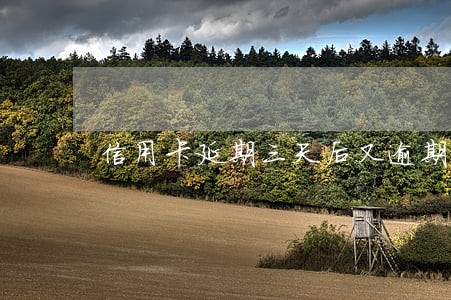 信用卡延期三天后又逾期一天 信用卡延期三天后又逾期一天