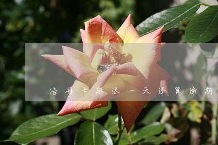信用卡延迟一天还算逾期吗 信用卡延迟一天还算逾期吗