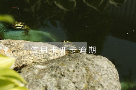 信用卡开卡逾期 信用卡开卡逾期