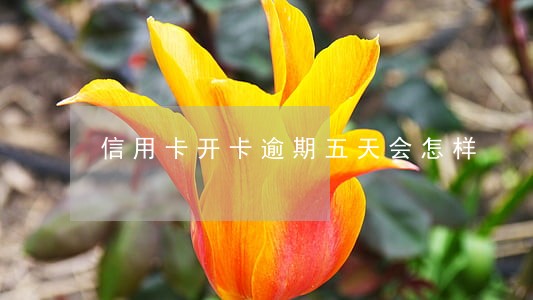 信用卡开卡逾期五天会怎样 信用卡开卡逾期五天会怎样