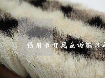 信用卡开庭应诉能只还本金吗 信用卡开庭应诉能只还本金吗
