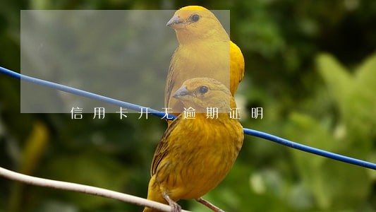 信用卡开无逾期证明 信用卡开无逾期证明