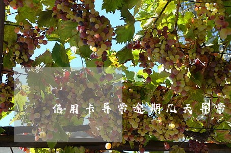 信用卡异常逾期几天异常 信用卡异常逾期几天异常