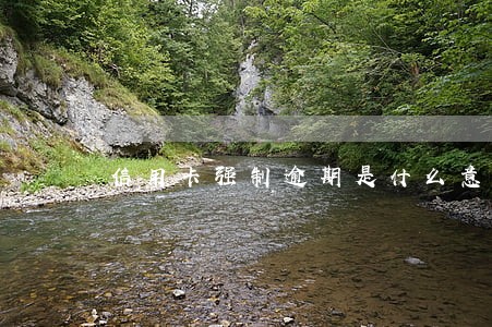 信用卡强制逾期是什么意思 信用卡强制逾期是什么意思