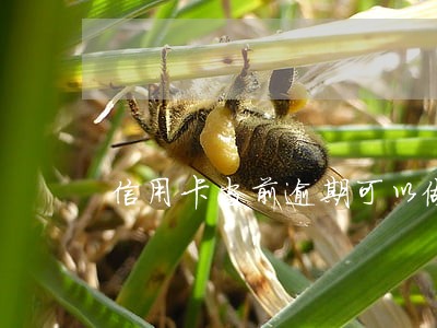 信用卡当前逾期可以做抵押吗 信用卡当前逾期可以做抵押吗