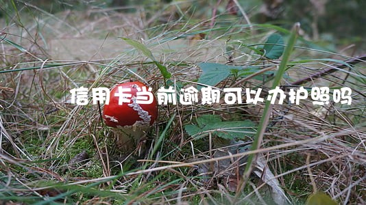 信用卡当前逾期可以办护照吗 信用卡当前逾期可以办护照吗