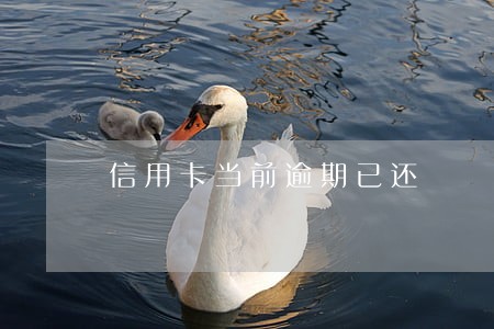 信用卡当前逾期已还