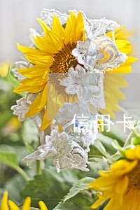 信用卡当前逾期平安普惠能过吗 信用卡当前逾期平安普惠能过吗
