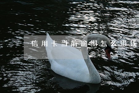 信用卡当前逾期怎么借钱 信用卡当前逾期怎么借钱
