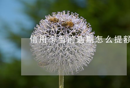 信用卡当前逾期怎么提额 信用卡当前逾期怎么提额