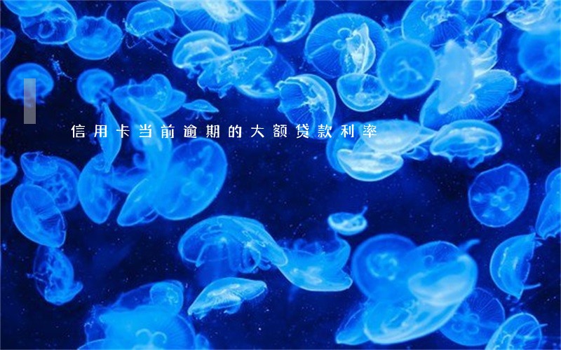 信用卡当前逾期的大额贷款利率 信用卡当前逾期的大额贷款利率