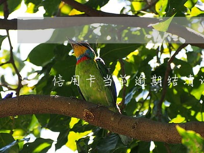 信用卡当前逾期结清证明样本 信用卡当前逾期结清证明样本