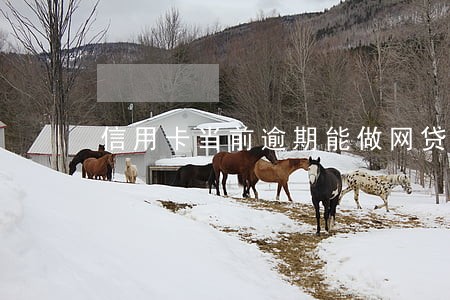 信用卡当前逾期能做网贷吗