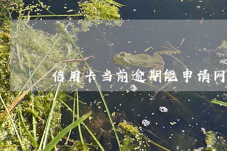 信用卡当前逾期能申请网贷么 信用卡当前逾期能申请网贷么