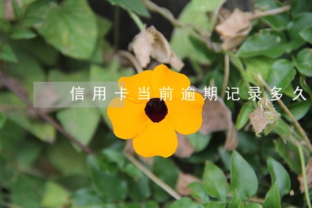 信用卡当前逾期记录多久消除 信用卡当前逾期记录多久消除