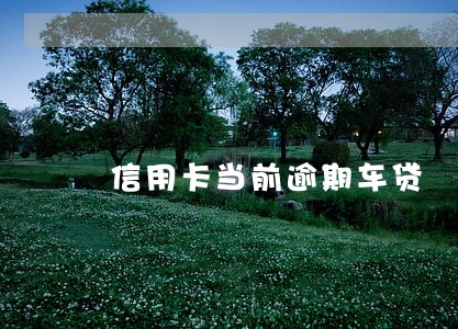 信用卡当前逾期车贷