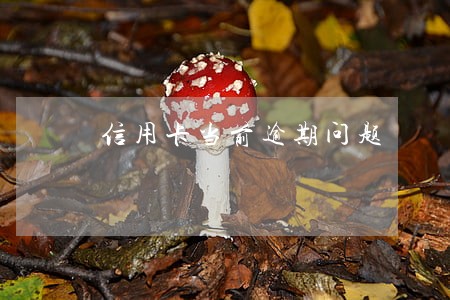 信用卡当前逾期问题 信用卡当前逾期问题