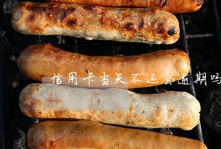信用卡当天不还会逾期吗 信用卡当天不还会逾期吗