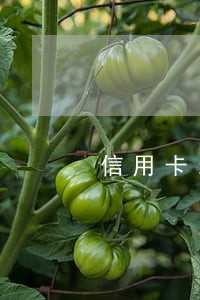 信用卡当天凌晨还算逾期吗 信用卡当天凌晨还算逾期吗