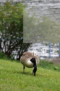 信用卡当天晚上还算不算逾期 信用卡当天晚上还算不算逾期