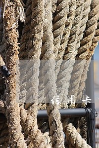 信用卡当天没有还算逾期