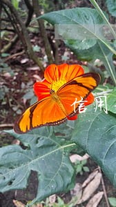 信用卡当天还上算逾期吗