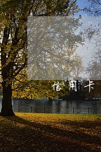 信用卡当天还会逾期吗 信用卡当天还会逾期吗