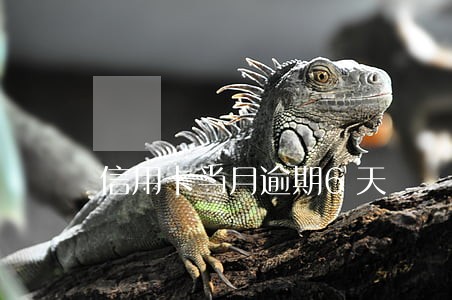 信用卡当月逾期6天 信用卡当月逾期6天