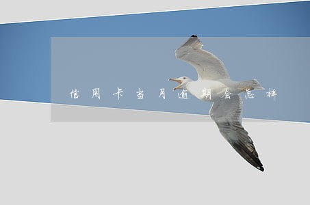 信用卡当月逾期会怎样 信用卡当月逾期会怎样