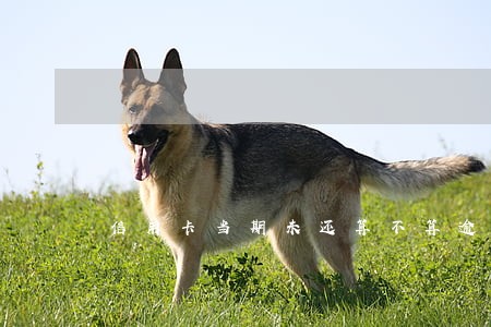 信用卡当期未还算不算逾期