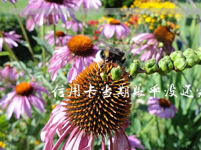 信用卡当期账单没还完算逾期吗 信用卡当期账单没还完算逾期吗