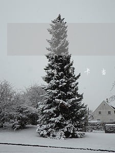 信用卡当期逾期最晚几天上征信