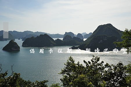 信用卡往期逾期情况哪里查 信用卡往期逾期情况哪里查