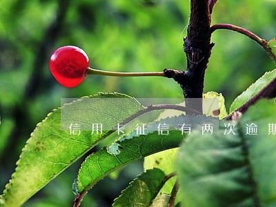 信用卡征信有两次逾期 信用卡征信有两次逾期