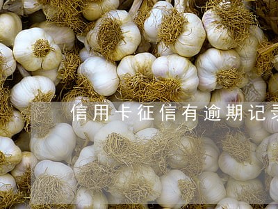 信用卡征信有逾期记录 信用卡征信有逾期记录