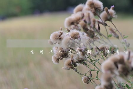 信用卡征信逾期几年消除
