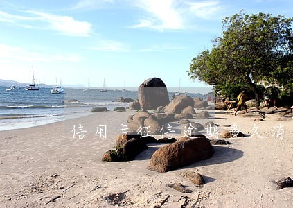 信用卡征信逾期多久消除 信用卡征信逾期多久消除