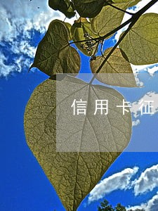 信用卡征信逾期异议申请 信用卡征信逾期异议申请