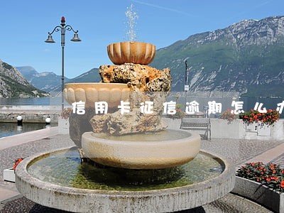 信用卡征信逾期怎么办浦发