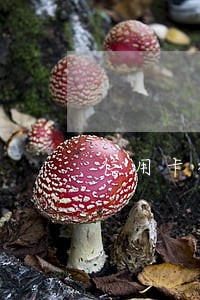 信用卡征信逾期数1 信用卡征信逾期数1