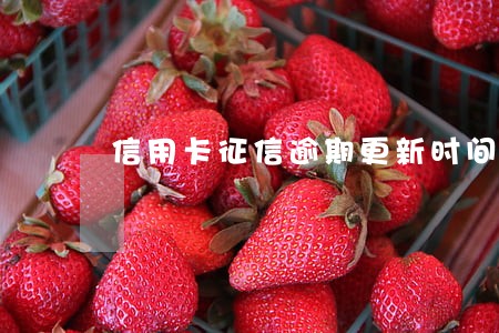 信用卡征信逾期更新时间 信用卡征信逾期更新时间