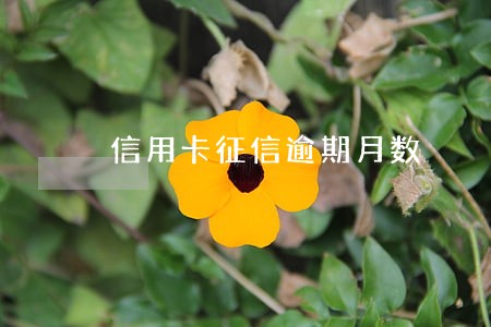 信用卡征信逾期月数 信用卡征信逾期月数