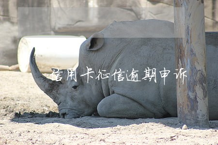 信用卡征信逾期申诉