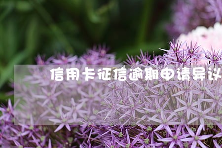 信用卡征信逾期申请异议的条件 信用卡征信逾期申请异议的条件