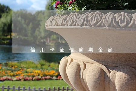 信用卡征信逾期金额 信用卡征信逾期金额