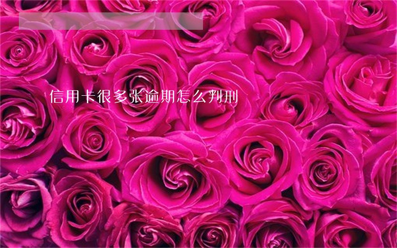 信用卡很多张逾期怎么判刑 信用卡很多张逾期怎么判刑