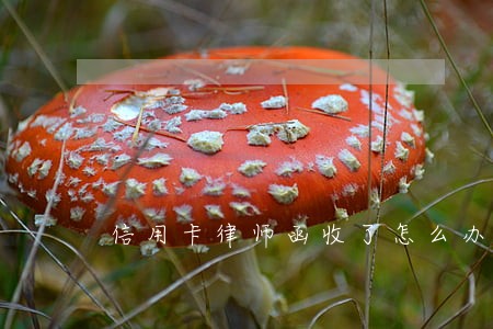 信用卡律师函收了怎么办 信用卡律师函收了怎么办